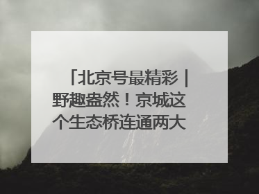 北京号最精彩｜野趣盎然！京城这个生态桥连通两大网红公园
