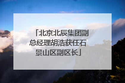 北京北辰集团副总经理胡浩获任石景山区副区长