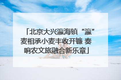 北京大兴瀛海镇“瀛”麦相承小麦丰收开镰 奏响农文旅融合新乐章