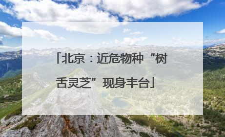 北京：近危物种“树舌灵芝”现身丰台