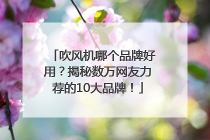吹风机哪个品牌好用？揭秘数万网友力荐的10大品牌！