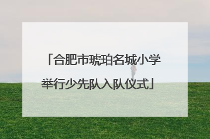 合肥市琥珀名城小学举行少先队入队仪式