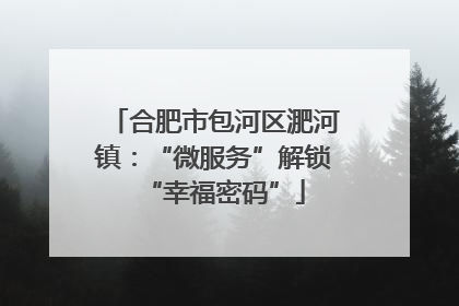 合肥市包河区淝河镇：“微服务”解锁“幸福密码”