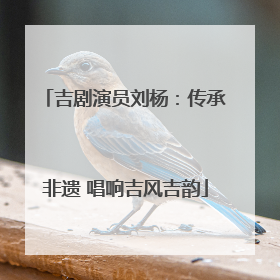 吉剧演员刘杨：传承非遗 唱响吉风吉韵