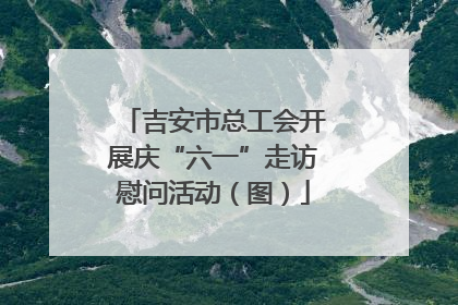 吉安市总工会开展庆“六一”走访慰问活动（图）