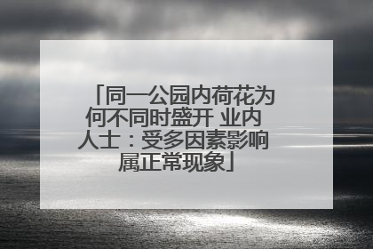 同一公园内荷花为何不同时盛开 业内人士：受多因素影响 属正常现象