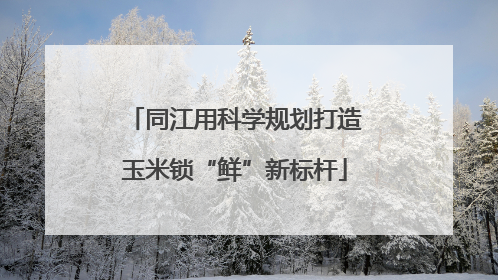 同江用科学规划打造玉米锁“鲜”新标杆