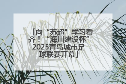 向“苏超”学习看齐！“海川建设杯”2025青岛城市足球联赛开幕