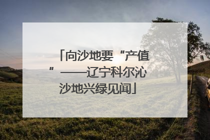 向沙地要“产值”——辽宁科尔沁沙地兴绿见闻