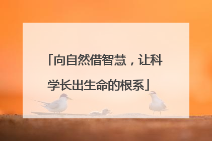 向自然借智慧，让科学长出生命的根系