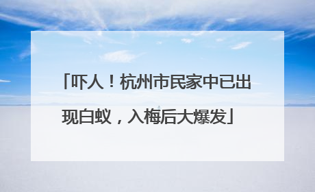 吓人！杭州市民家中已出现白蚁，入梅后大爆发