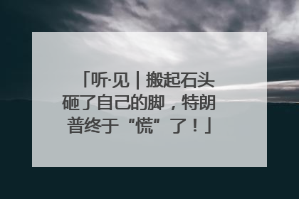 听·见｜搬起石头砸了自己的脚，特朗普终于“慌”了！
