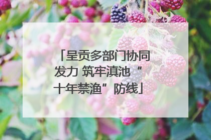 呈贡多部门协同发力 筑牢滇池“十年禁渔”防线
