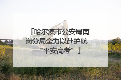 哈尔滨市公安局南岗分局全力以赴护航“平安高考”