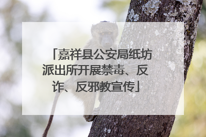 嘉祥县公安局纸坊派出所开展禁毒、反诈、反邪教宣传