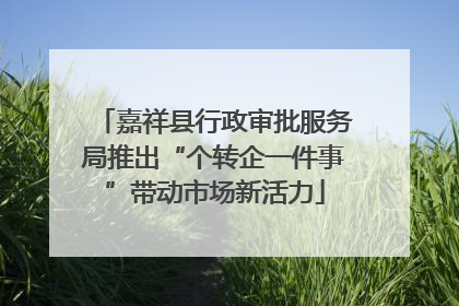 嘉祥县行政审批服务局推出“个转企一件事”带动市场新活力