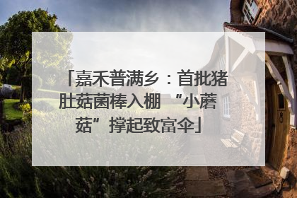 嘉禾普满乡：首批猪肚菇菌棒入棚 “小蘑菇”撑起致富伞