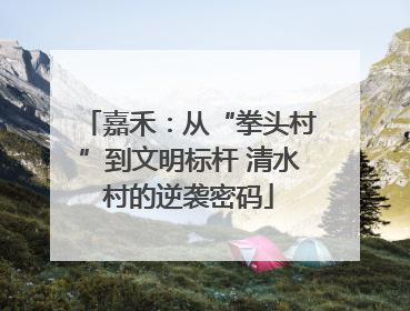 嘉禾：从“拳头村”到文明标杆 清水村的逆袭密码