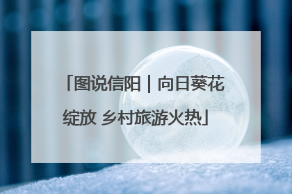 图说信阳｜向日葵花绽放 乡村旅游火热
