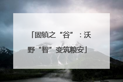 固镇之“谷”：沃野“智”变筑粮安