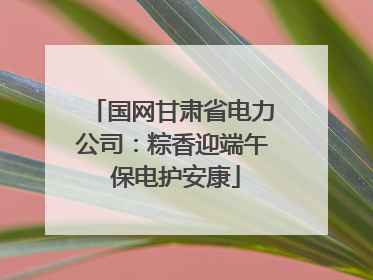 国网甘肃省电力公司：粽香迎端午 保电护安康