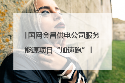 国网金昌供电公司服务能源项目“加速跑”