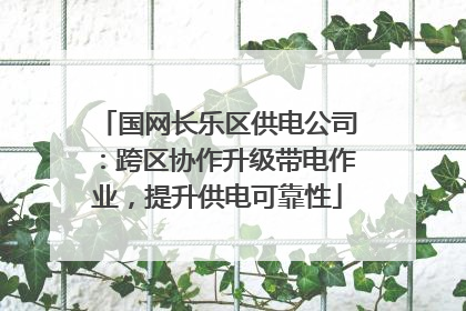 国网长乐区供电公司：跨区协作升级带电作业，提升供电可靠性