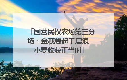 国营民权农场第三分场：金穗卷起千层浪 小麦收获正当时