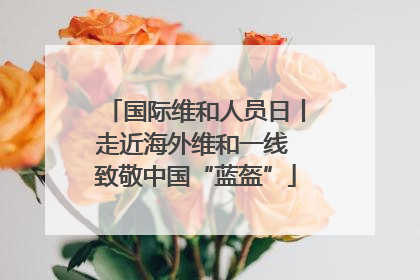 国际维和人员日丨走近海外维和一线 致敬中国“蓝盔”