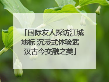 国际友人探访江城地标 沉浸式体验武汉古今交融之美