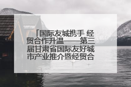 国际友城携手 经贸合作升温——第三届甘肃省国际友好城市产业推介暨经贸合作对接活动特写