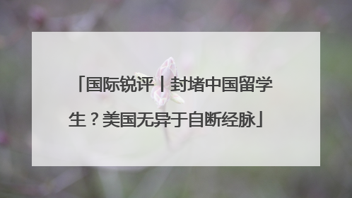 国际锐评丨封堵中国留学生？美国无异于自断经脉