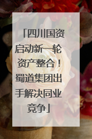 四川国资启动新一轮资产整合！蜀道集团出手解决同业竞争