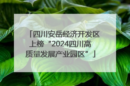 四川安岳经济开发区上榜“2024四川高质量发展产业园区”