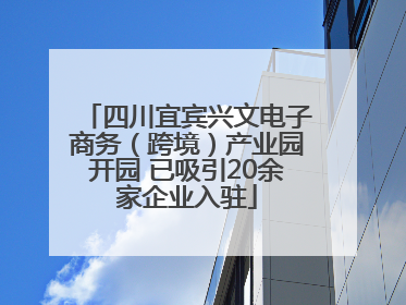 四川宜宾兴文电子商务（跨境）产业园开园 已吸引20余家企业入驻