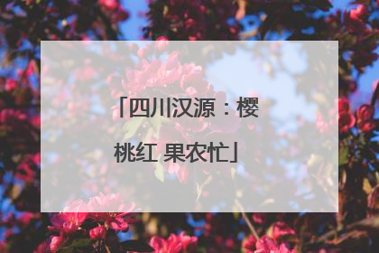 四川汉源：樱桃红 果农忙