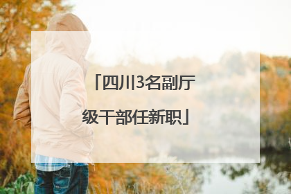 四川3名副厅级干部任新职