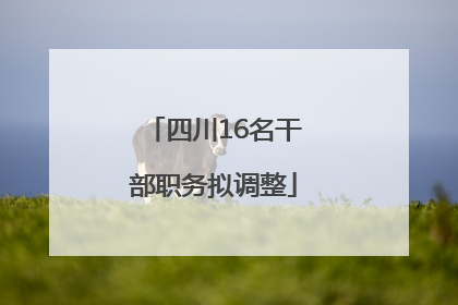 四川16名干部职务拟调整