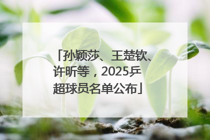 孙颖莎、王楚钦、许昕等，2025乒超球员名单公布