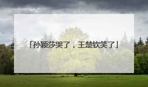 孙颖莎哭了，王楚钦笑了