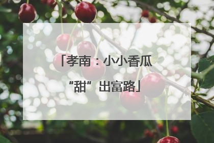 孝南：小小香瓜 “甜”出富路