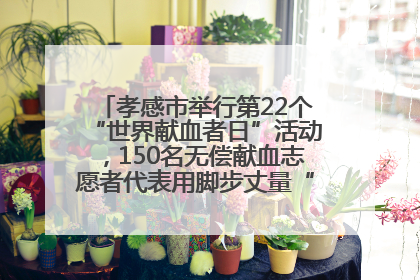 孝感市举行第22个“世界献血者日”活动，150名无偿献血志愿者代表用脚步丈量“中华孝爱第一山”