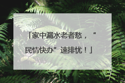 家中漏水老者愁，“民情快办”速排忧！