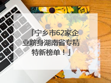 宁乡市62家企业跻身湖南省专精特新榜单！