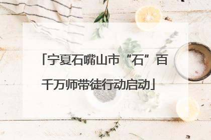 宁夏石嘴山市“石”百千万师带徒行动启动