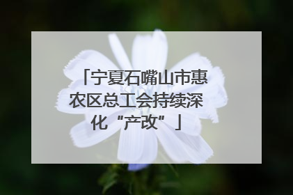 宁夏石嘴山市惠农区总工会持续深化“产改”
