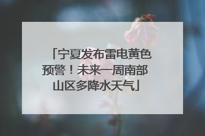 宁夏发布雷电黄色预警！未来一周南部山区多降水天气