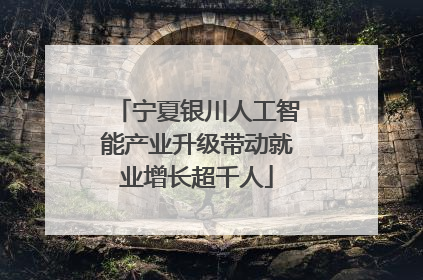 宁夏银川人工智能产业升级带动就业增长超千人