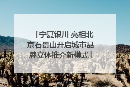 宁夏银川 亮相北京石景山开启城市品牌立体推介新模式