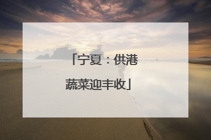 宁夏：供港蔬菜迎丰收
